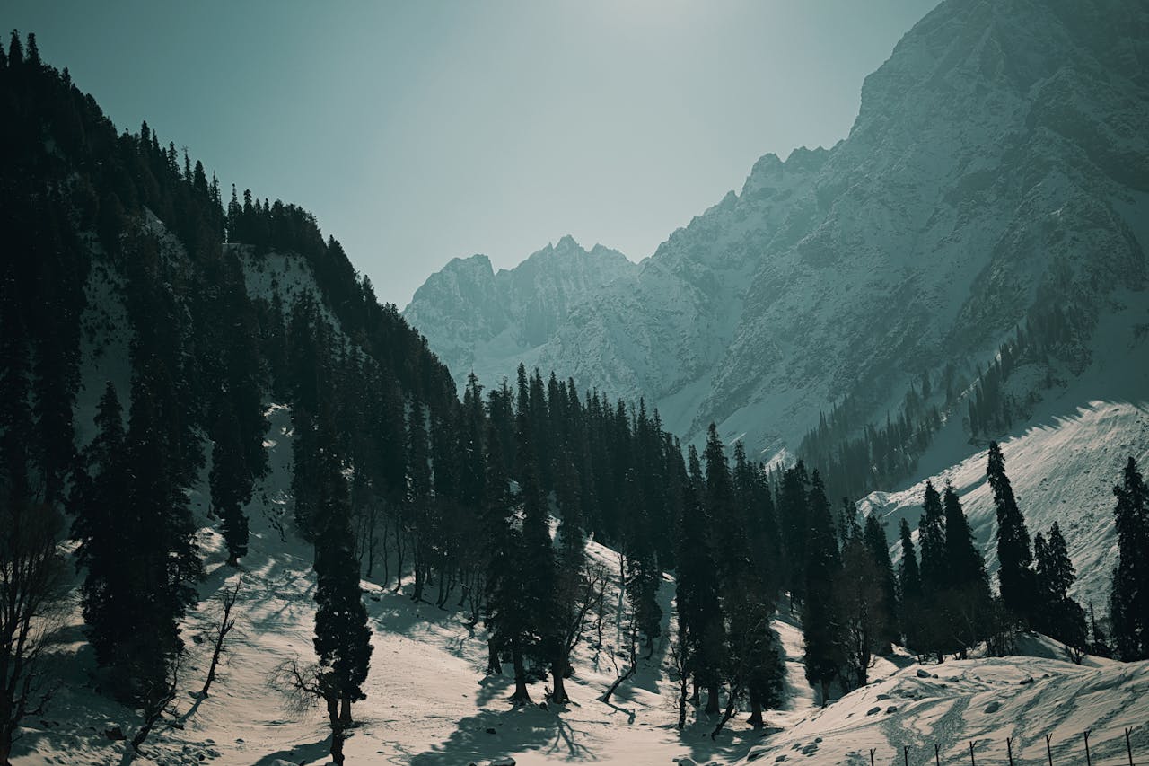 Adventurous Travels for Families: Create Unforgettable Memories