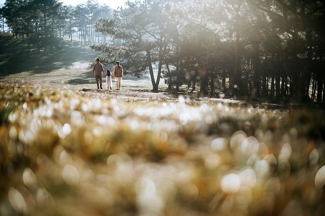 Rental Car vs Public Transport for Family Travel