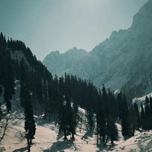 Adventurous Travels for Families: Create Unforgettable Memories