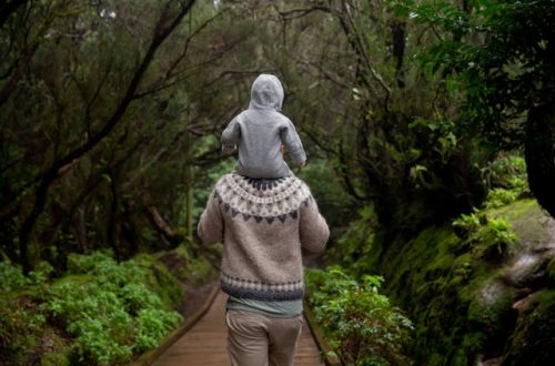 Family Trips Near Me: Top Picks for Fun and Relaxation