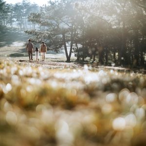 Rental Car vs Public Transport for Family Travel